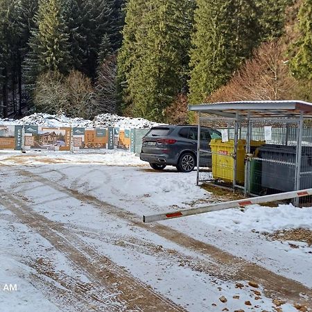 Ski & Bike Residence ポイアナ・ブラショフ エクステリア 写真